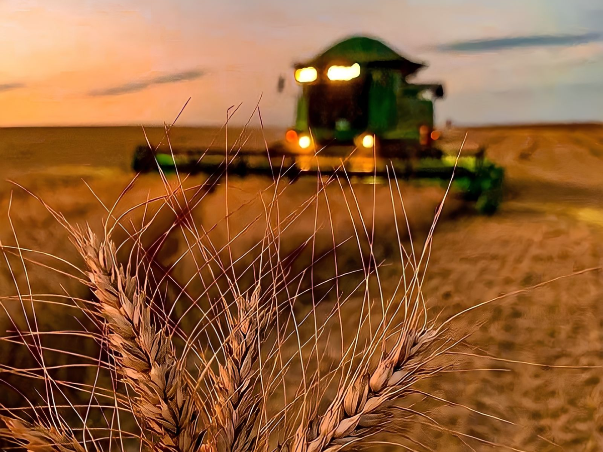 Movendo o CAMPO com qualidade, responsabilidade e confiança